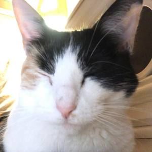 Meet your Posher, Sierra